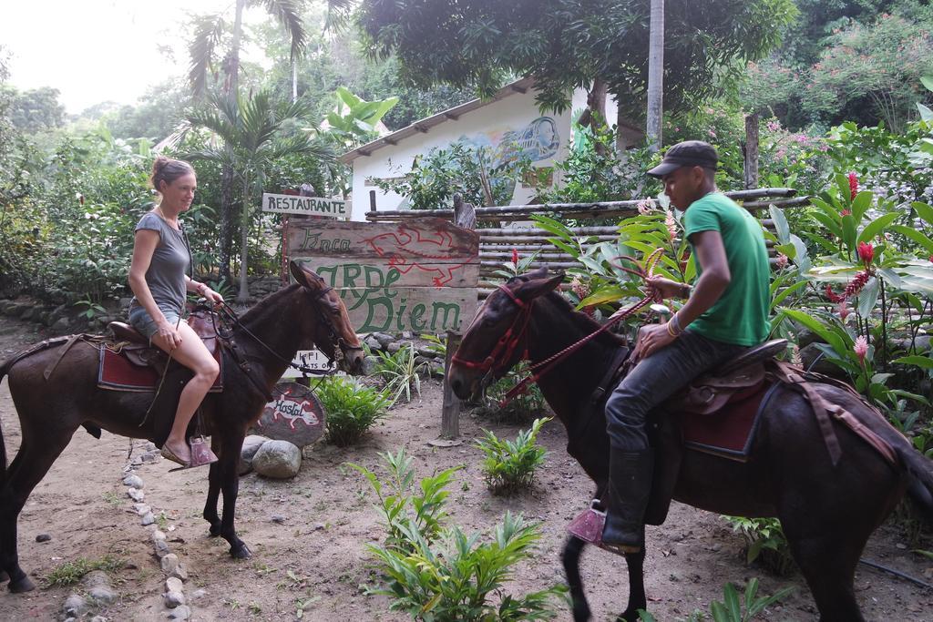 Carpe Diem Hostal Minca